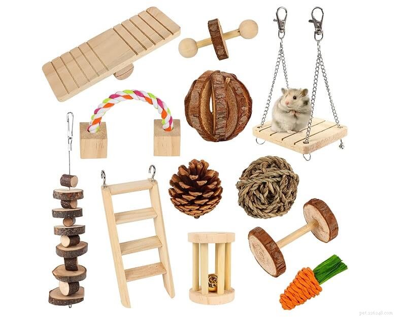 15 presentes atenciosos para amantes de hamsters e seus amigos peludos 