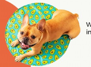 カナダで犬と一緒にキャンプ＆ハイキングするための究極ガイド – 専門家のヒントとベストトレイル 