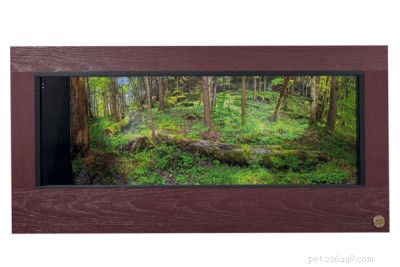 Revisão do gabinete de répteis de luxo do Toad Ranch – Habitat 4’x3’x2’ com fundo premium 