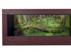 Toad Ranch Luxury Reptil Inhägnad recension – 4 x3 x2  Habitat med premiumbakgrund 