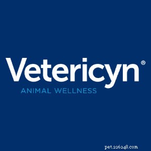 犬の関節の健康 101:長期的な運動の原因、警告サイン、および天然サプリメント 