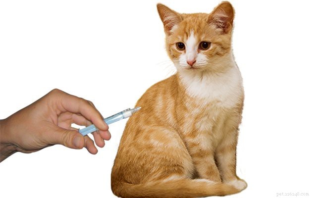 Guia de vacinação para animais de estimação:protegendo cães, gatos e muito mais contra doenças evitáveis 