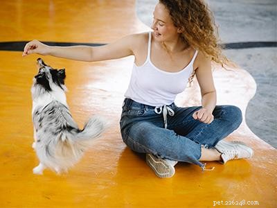 Maîtrisez l astuce du retournement :un guide de formation professionnel étape par étape 