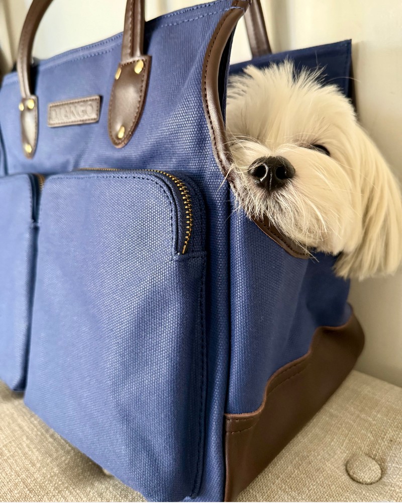 O melhor transportador de sacolas para cães pequenos:guia especializado e escolha principal 