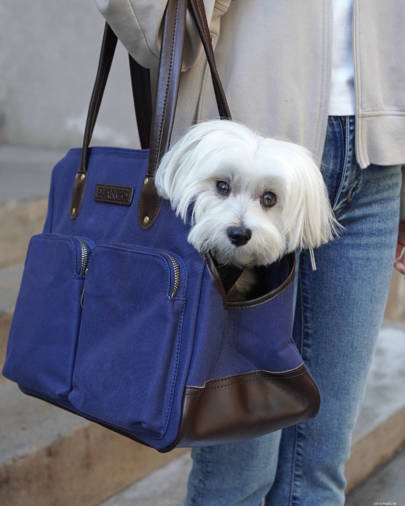 O melhor transportador de sacolas para cães pequenos:guia especializado e escolha principal 