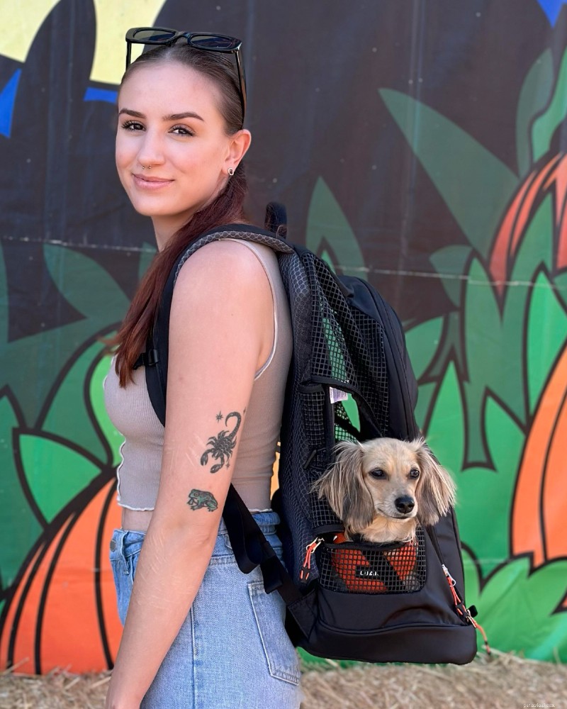 O melhor transportador de sacolas para cães pequenos:guia especializado e escolha principal 