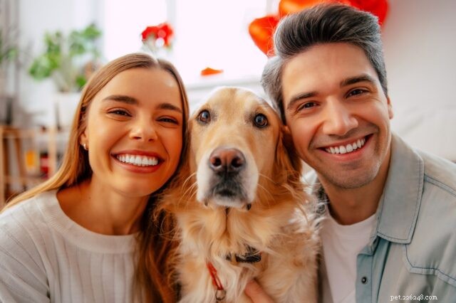 Hoe honden de energie en persoonlijkheid van hun baasjes weerspiegelen:wetenschappelijke inzichten 