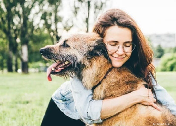 Hoe honden de energie en persoonlijkheid van hun baasjes weerspiegelen:wetenschappelijke inzichten 
