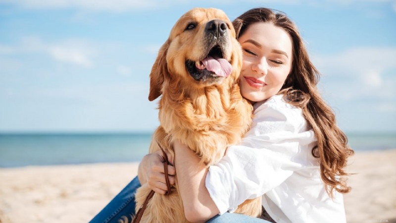 Hoe honden de energie en persoonlijkheid van hun baasjes weerspiegelen:wetenschappelijke inzichten 