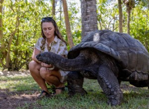 Obří želvy:Trvalí obři „Galapagos“ Indického oceánu 