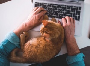うちの猫が突然ベタベタしてくるのはなぜ？原因と解決策についての専門家の洞察 