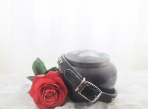 Kremace psů:Odborný průvodce možnostmi, náklady a postupem 