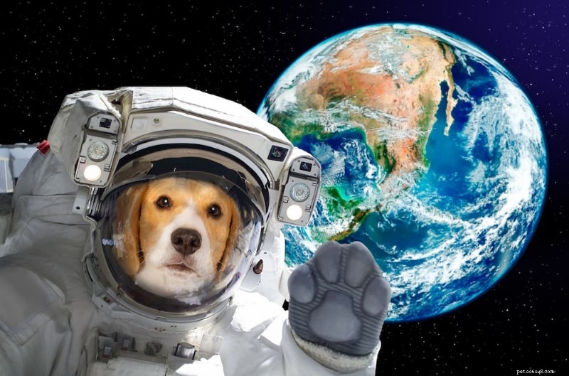 喜びをもたらす犬の天体名130選 