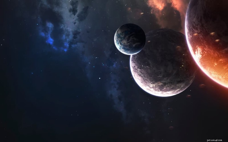 54 hvězdných jmen psů ze Star Wars pro oslavu vašeho mazlíčka 