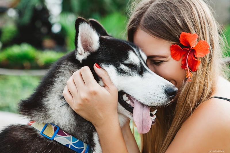 36 nomes autênticos de cães havaianos que celebram a cultura da ilha 