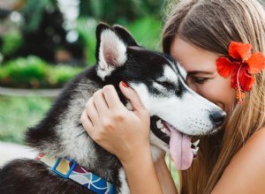 島の文化を称える本物のハワイの犬の名前 36 選 