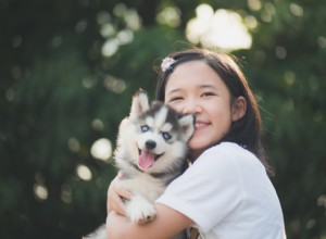 あなたの犬につける46の魅力的な日本の名前：古典文化からかわいいインスピレーションまで 