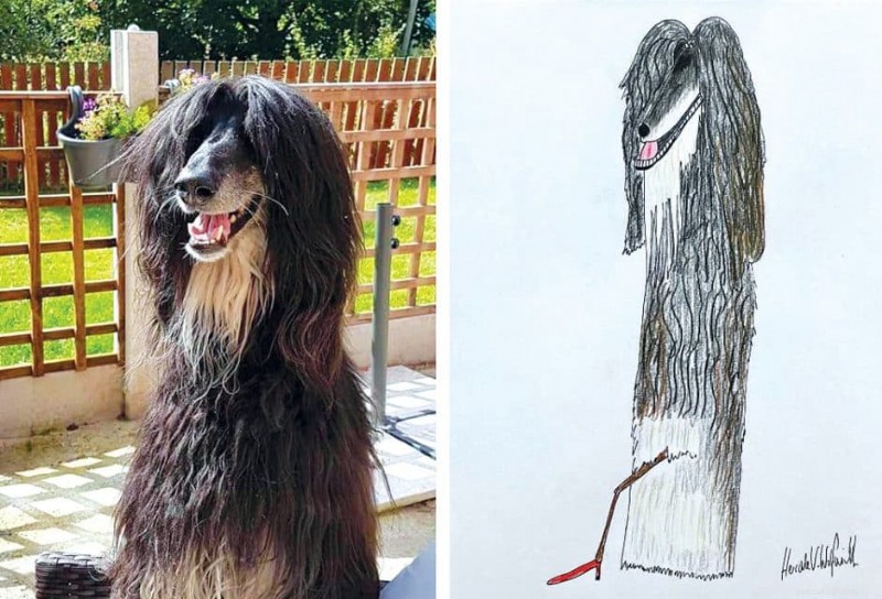 Les portraits d animaux originaux de l artiste britannique Phil Heckels récoltent 400 000 £ pour une œuvre caritative