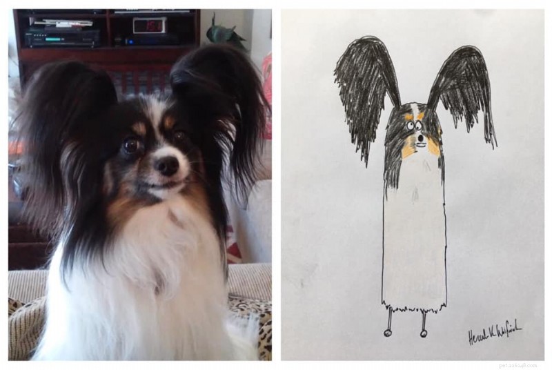 Les portraits d animaux originaux de l artiste britannique Phil Heckels récoltent 400 000 £ pour une œuvre caritative