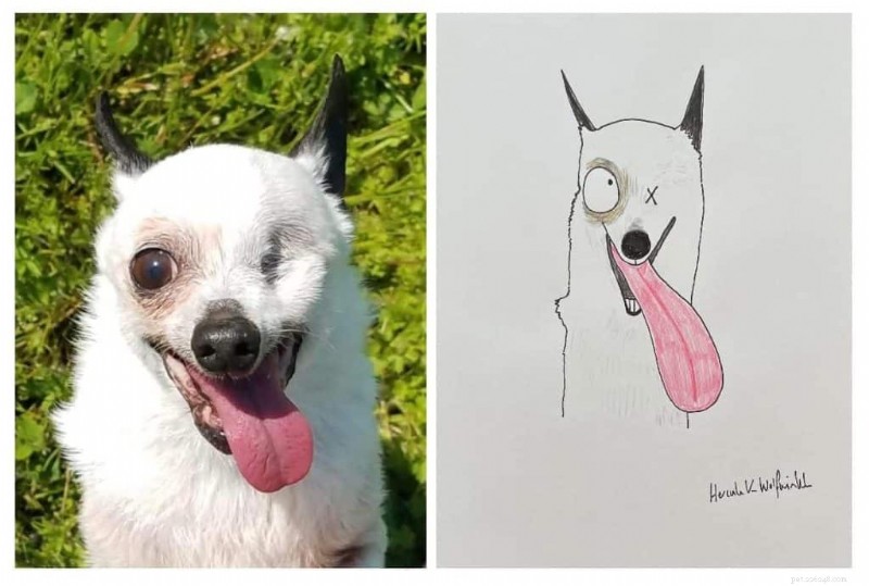 Les portraits d animaux originaux de l artiste britannique Phil Heckels récoltent 400 000 £ pour une œuvre caritative 