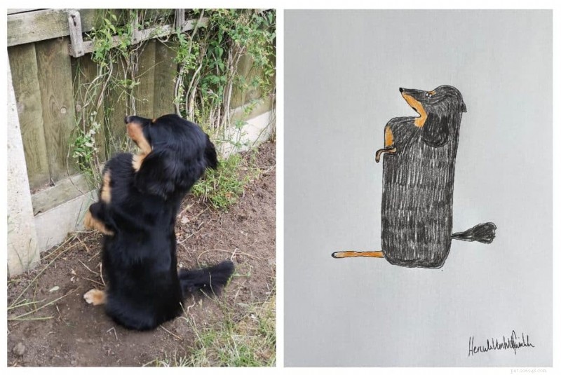 Les portraits d animaux originaux de l artiste britannique Phil Heckels récoltent 400 000 £ pour une œuvre caritative 