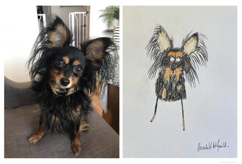 Les portraits d animaux originaux de l artiste britannique Phil Heckels récoltent 400 000 £ pour une œuvre caritative 
