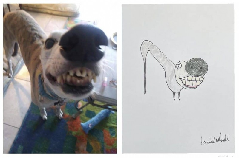 Les portraits d animaux originaux de l artiste britannique Phil Heckels récoltent 400 000 £ pour une œuvre caritative