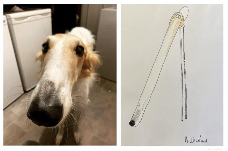 Les portraits d animaux originaux de l artiste britannique Phil Heckels récoltent 400 000 £ pour une œuvre caritative 