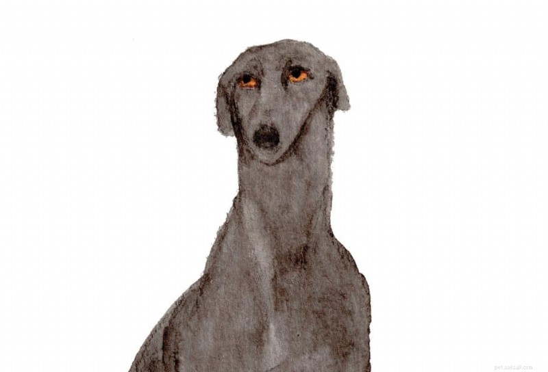 Amber Fossey (Zeppelinmoon) :un diptyque qui redonne espoir aux chiens de refuge