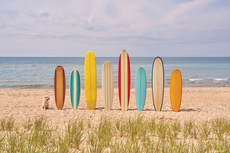 Les superbes photographies de vacances de GrayMalin :célébrer les chiens dans des destinations emblématiques 