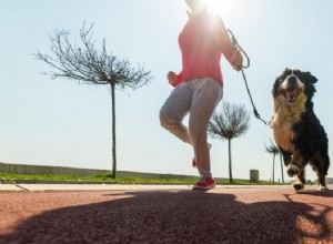 Výcvik vašeho psa, aby běhal s vámi:Komplexní průvodce pro zdravější a šťastnější páry 