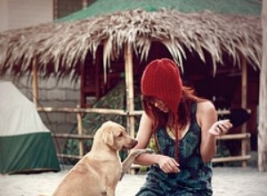 適切な犬の選択:新しい飼い主のための包括的なガイド 