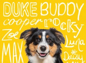 De beste huisdiernamen van 2024 onthuld:kijk of de naam van uw huisdier op de lijst staat 