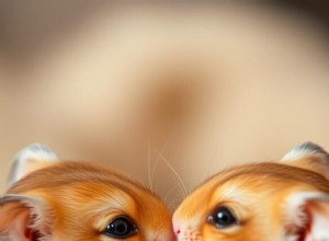 ロボロフスキーハムスターは単独で成長しますか、それとも一緒に成長しますか?専門家の洞察とケアのガイドライン 
