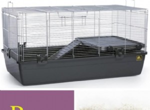 Prevue 528 Hamster &Gerbil Cage Review – 2025 köpguide 