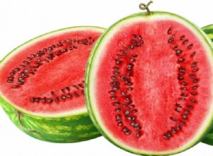 Kan hamstrar äta vattenmelon säkert? Expertriktlinjer om kvantitet och frekvens 