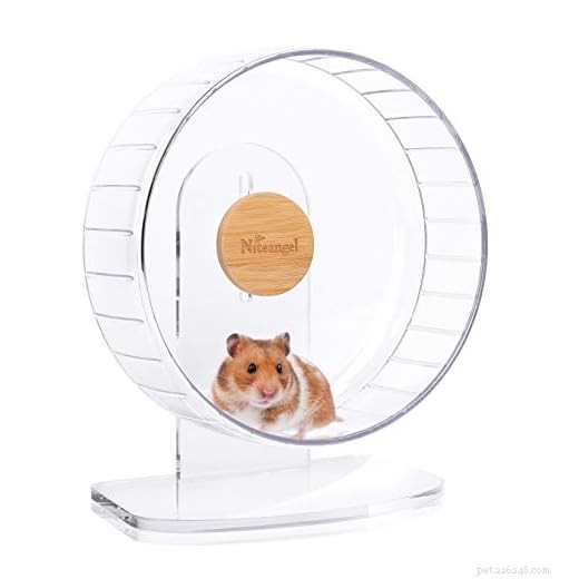 Como manter seu hamster aquecido neste inverno:dicas comprovadas de cuidados 