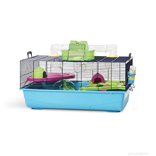 O guia definitivo para prevenir e controlar a raiva da gaiola de hamster 
