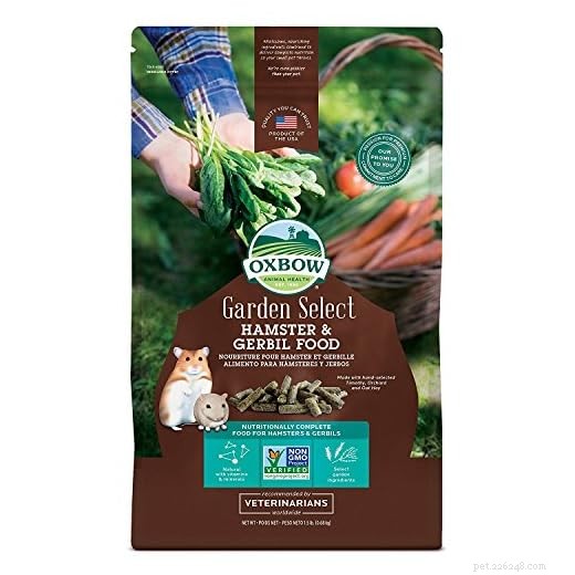 Evite a superalimentação de hamsters:tamanhos de porções, frequência de alimentação e diretrizes de tratamento 