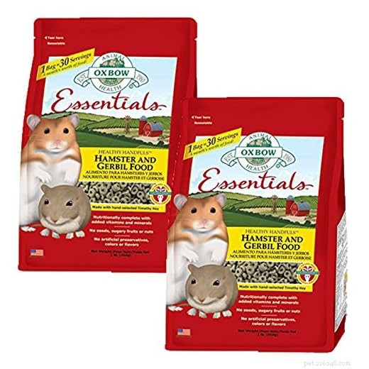 Evite a superalimentação de hamsters:tamanhos de porções, frequência de alimentação e diretrizes de tratamento 