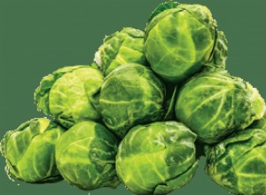 Kan hamstrar säkert äta groddar? Portionsstorlekar, frekvens och komplett dietguide 