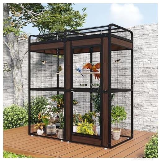 Meilleures cages à oiseaux 2026 :élégantes, spacieuses et conçues pour durer
