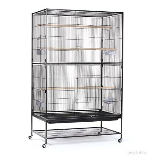 Meilleures cages à oiseaux 2026 :élégantes, spacieuses et conçues pour durer