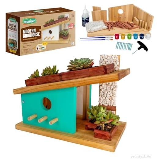 Meilleurs nichoirs pour votre jardin :choix d experts et idées de décoration