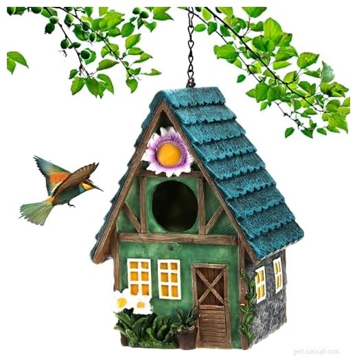 Meilleurs nichoirs pour votre jardin :choix d experts et idées de décoration