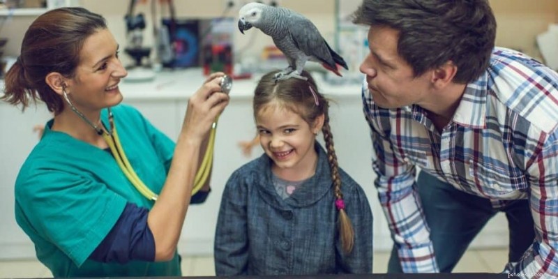 あなたのペットの鳥が自閉症のような行動を示している可能性はありますか? Understanding Bird Social and Repetitive Patterns 