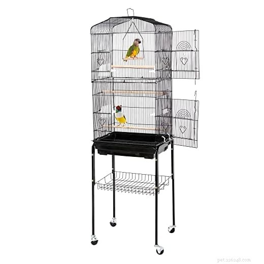 Combien de pinsons pouvez-vous garder dans une seule cage ? Un guide pratique pour les propriétaires responsables 