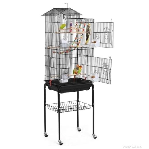 Combien de pinsons pouvez-vous garder dans une seule cage ? Un guide pratique pour les propriétaires responsables
