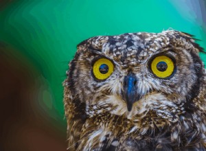 ペットとしてのフクロウ:合法的、実用的、そしてフクロウが最良の選択ではない理由 