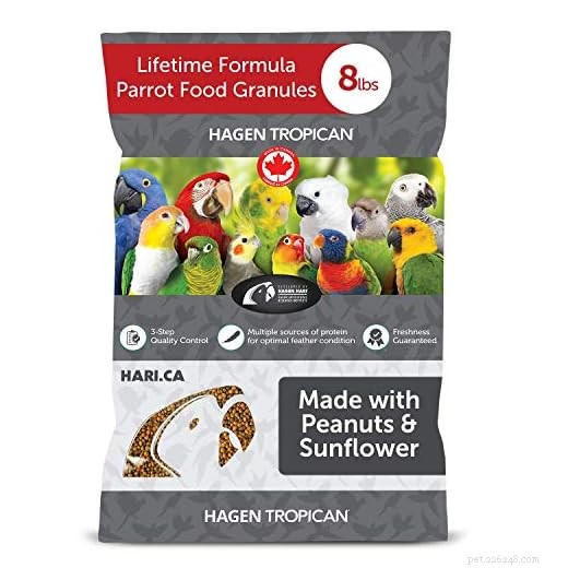Les perroquets peuvent-ils manger de la viande en toute sécurité ? Guide expert pour une alimentation omnivore équilibrée 